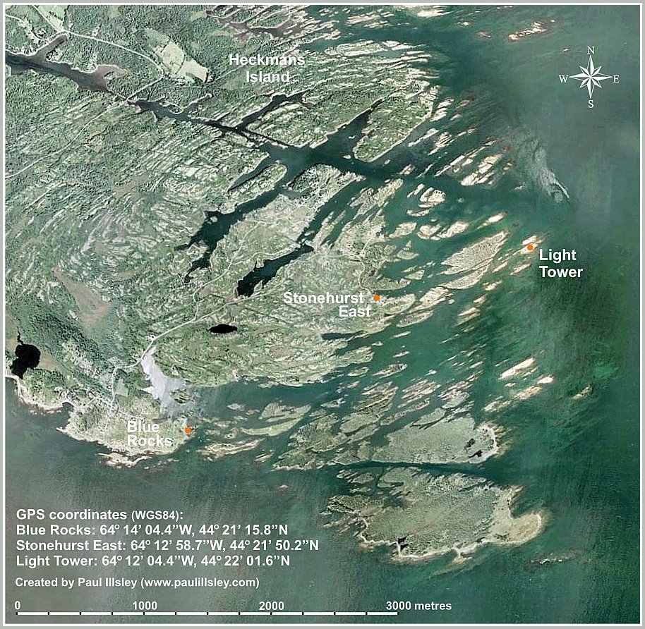 Click on a picture to view a larger image.